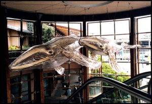 "Whales" Hand carved skeleton, vac formed polycarbonate shell, 8m long, Cockle Bay, Sydney